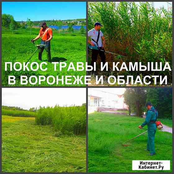 Покос травы Воронеж, косить траву в Воронеже Воронеж