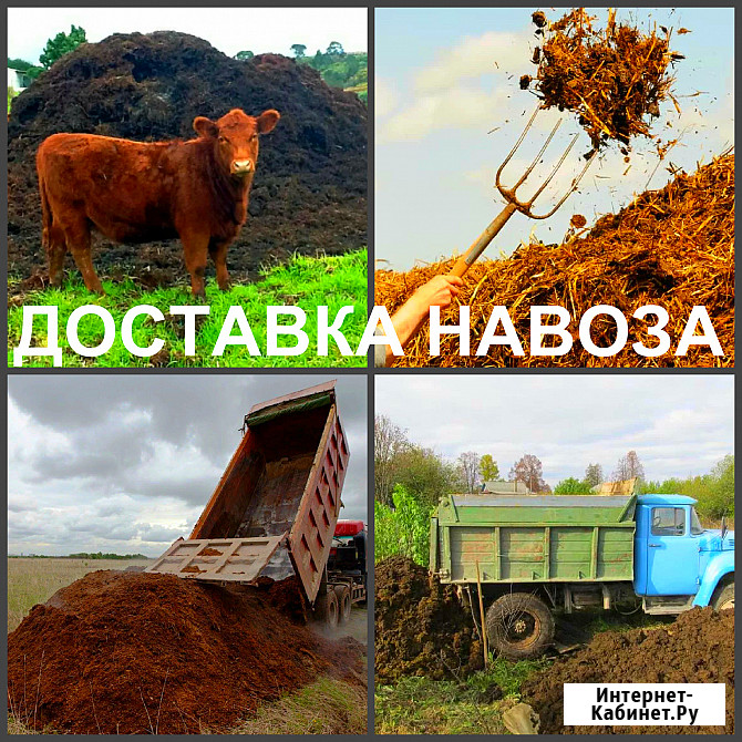 Навоз Воронеж, доставка навоза в Воронеже Воронеж - изображение 2