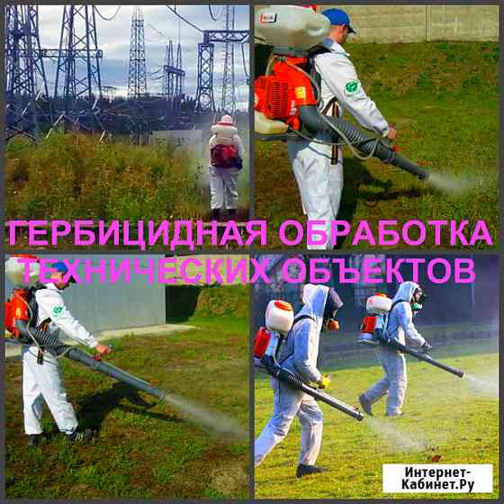 Гербицидная обработка Воронеж, от сорняков в Воронеже Воронеж