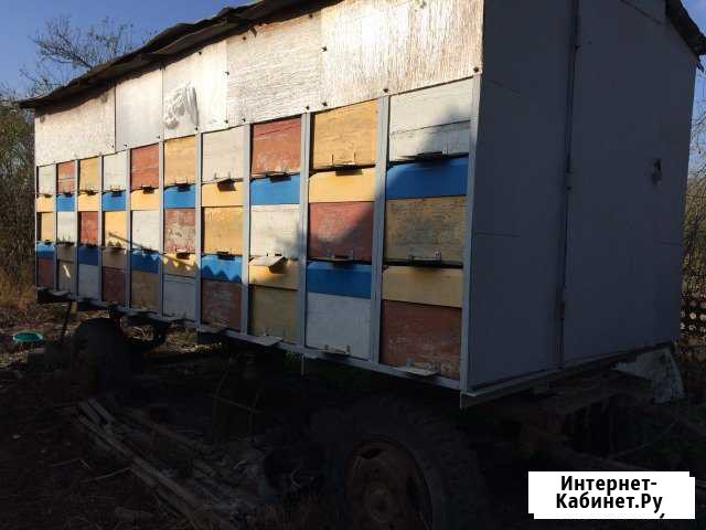 Пчело-павильон Славянск-на-Кубани - изображение 1