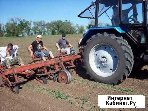 Ножнецы для бахчевых культур Соль-Илецк - изображение 1