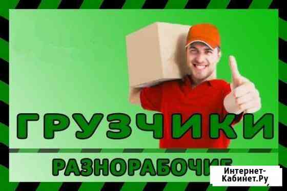 Разнорабочие любые виды работ, погрузка, выгрузка Вологда