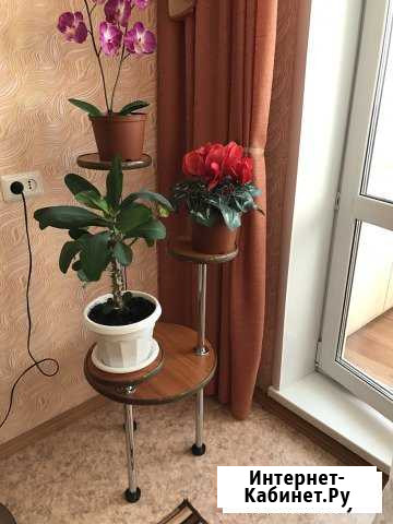 Продам подставку для цветов Курган - изображение 1