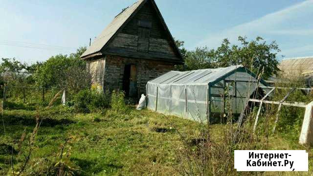 Дача 20 кв.м. на участке 6 сот. Пикалево - изображение 1