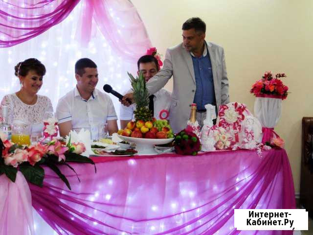 Тамада(ведущий)(дискотека, музыка) свадьба и т.п Тамбов - изображение 1