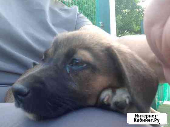 Мальчик Краснодар