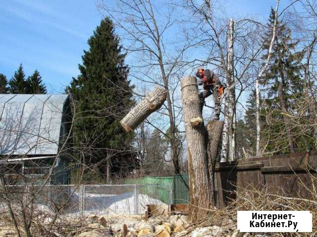 Спиливание деревьев различной сложности Гусь-Хрустальный - изображение 1