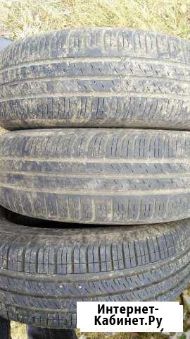 Резина Pirelli cinturato p4 175/70 R14 Лесной Городок - изображение 1