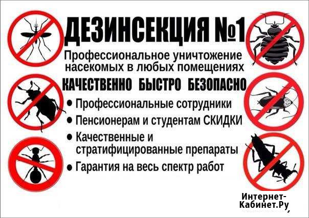 Уничтожение Тараканов Благовещенск - изображение 1