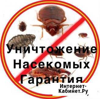 Уничтожение, клопов, тараканов, грызунов гарантия Тула - изображение 1