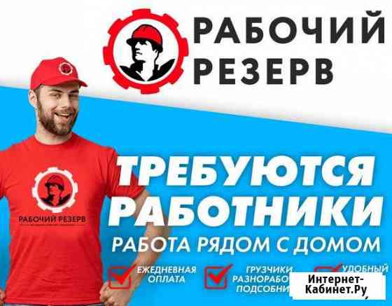 Разнорабочий, грузчик ежедневная оплата Санкт-Петербург