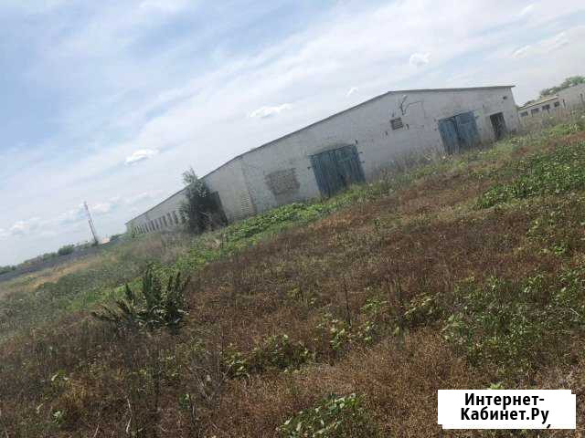 Склад (коровник) в Кузьмичевском Городище - изображение 1