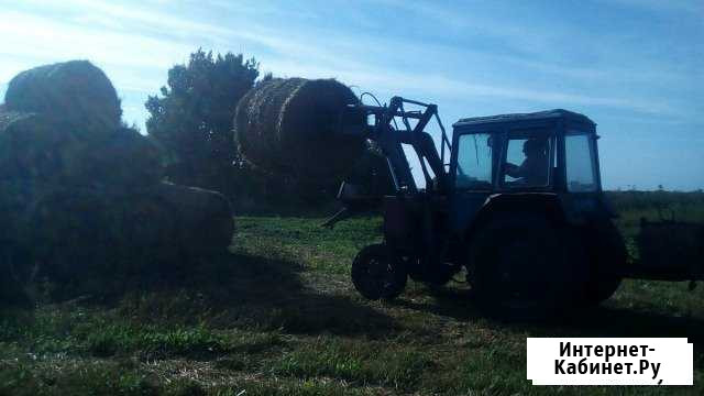 Продам сено, солому Залегощь - изображение 1