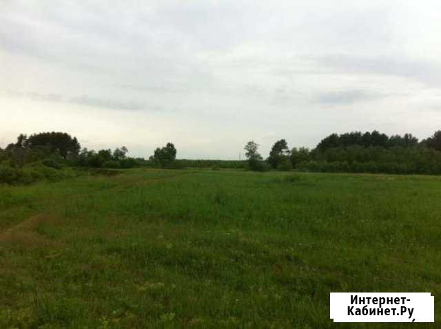 Участок 40 га (СНТ, ДНП) Красноярск - изображение 1