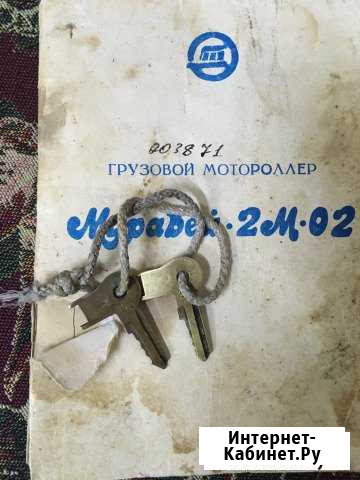 Мотороллер муравей Владимир - изображение 1