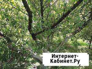 Участок 6.6 сот. (СНТ, ДНП) Белгород