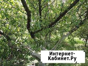 Участок 6.6 сот. (СНТ, ДНП) Белгород - изображение 1