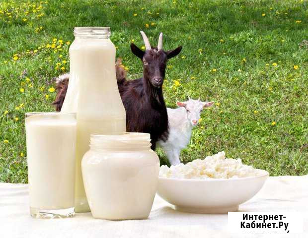 Козье молоко Усолье-Сибирское - изображение 1
