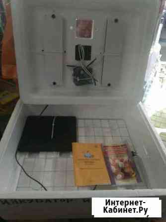 Инкубатор Симферополь