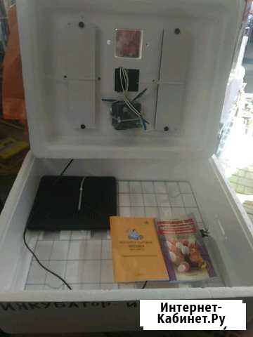 Инкубатор Симферополь - изображение 1