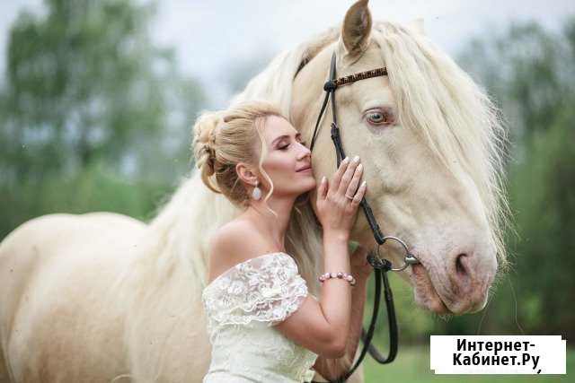 Жеребец для фотосессий Кольчугино - изображение 1