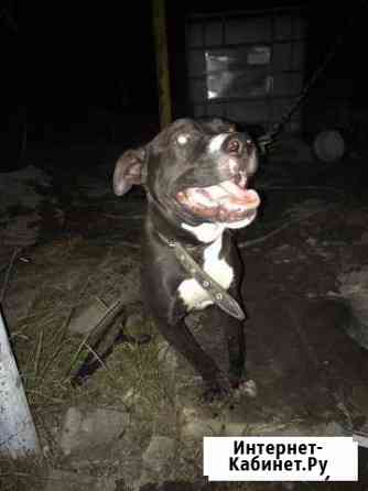 8 месяцев Новороссийск