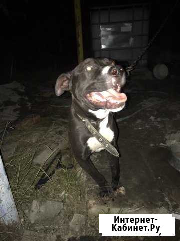 8 месяцев Новороссийск - изображение 1