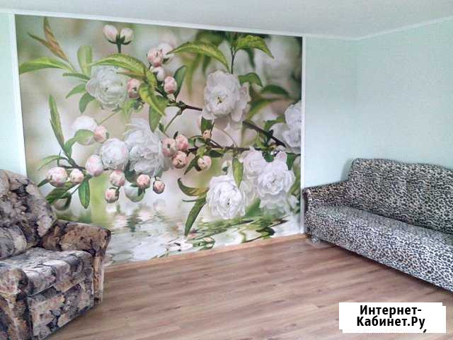 Дача 60 кв.м. на участке 12 сот. Рябово - изображение 1