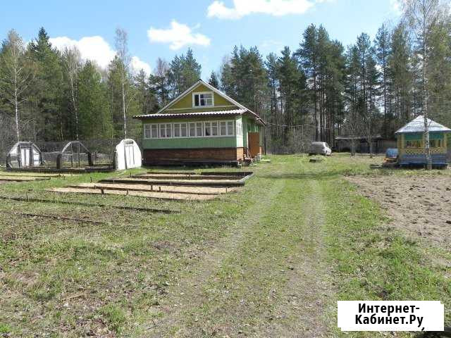Дом 34 кв.м. на участке 24 сот. Кадуй - изображение 1