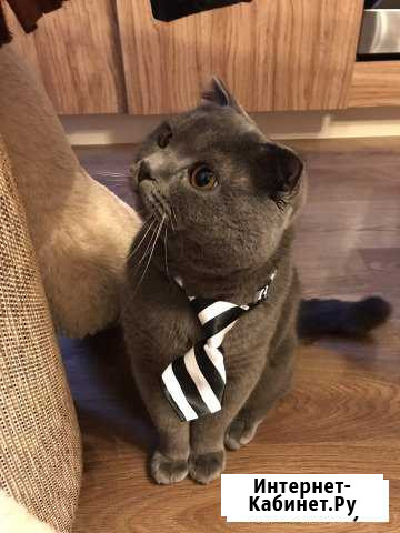 Вязка Санкт-Петербург - изображение 1