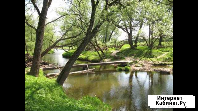 Участок 4.2 сот. (СНТ, ДНП) Чехов - изображение 1