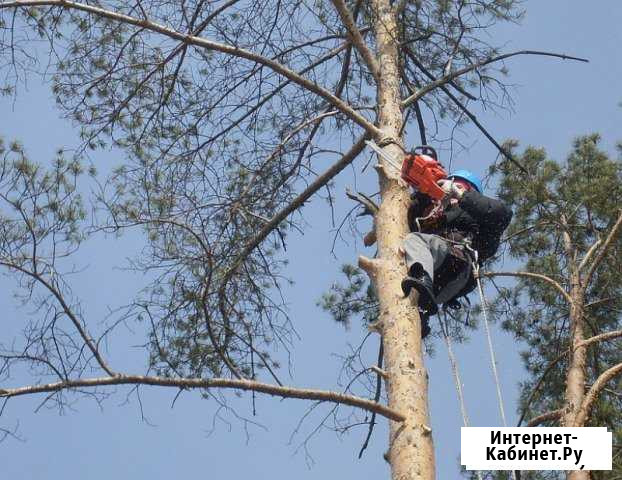 Пилим косим вывоз мусора снос строен копаем Гулькевичи - изображение 1