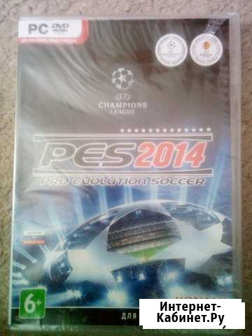 PES 2014 Клинцы - изображение 1