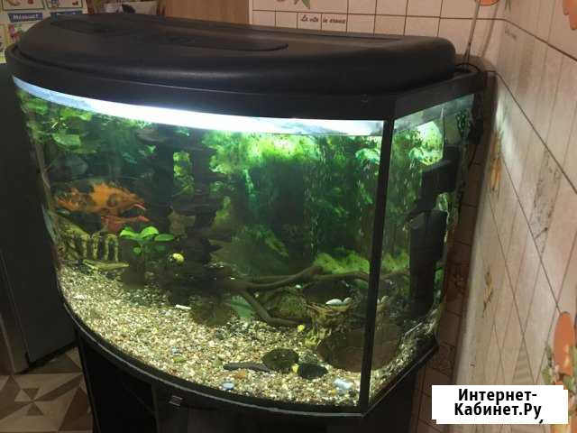 Заводской панорамный аквариум 450 л Кропоткин - изображение 1