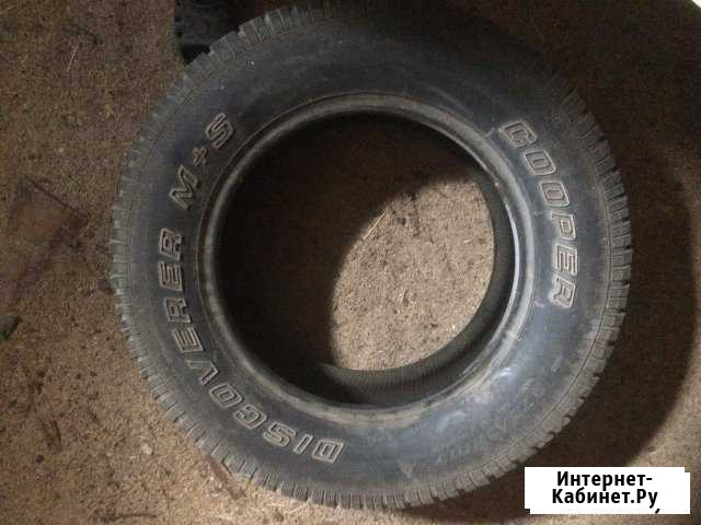 Продам шины Волосово - изображение 1