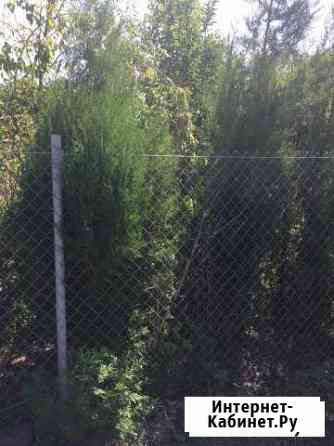 Туи Нальчик