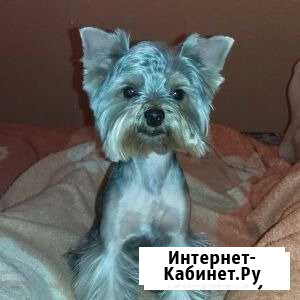 Вязка Иркутск - изображение 1