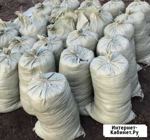 Перегной конский навоз в мешках назем Калининград - изображение 1
