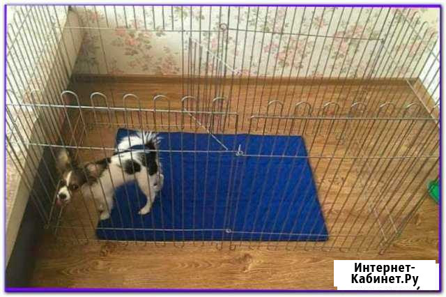 Вольер Краснодар - изображение 1