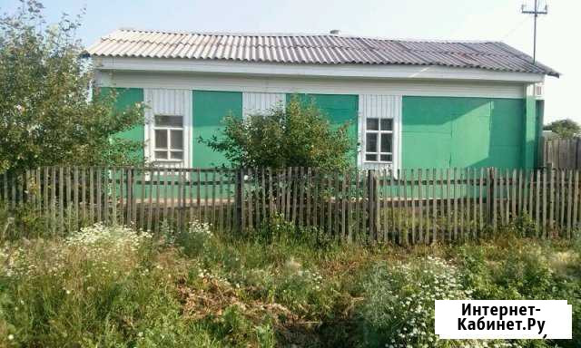 Дом 37 кв.м. на участке 26 сот. Калачинск - изображение 1