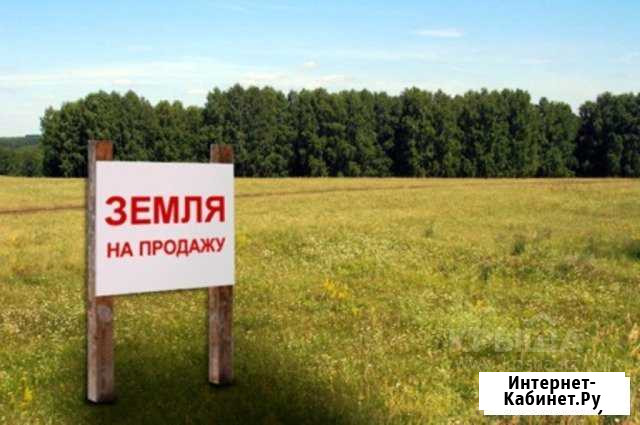 Участок 3.8 га (СНТ, ДНП) Новокузнецк - изображение 1