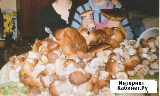 Дом 69 кв.м. на участке 42 сот. Остров - изображение 1