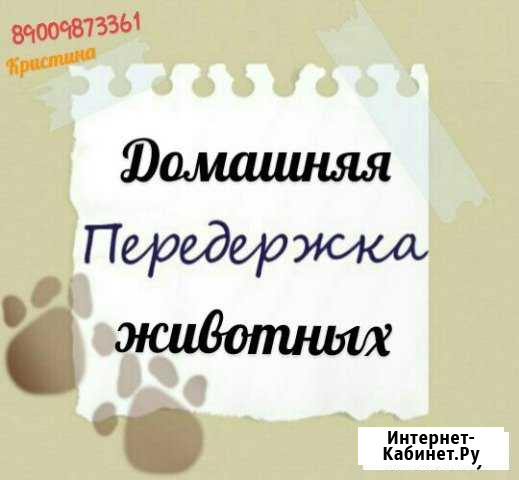 Домашняя передержка Липецк - изображение 1
