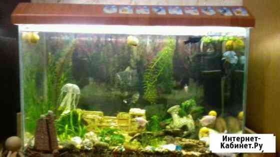 Аквариум 97 л Воронеж