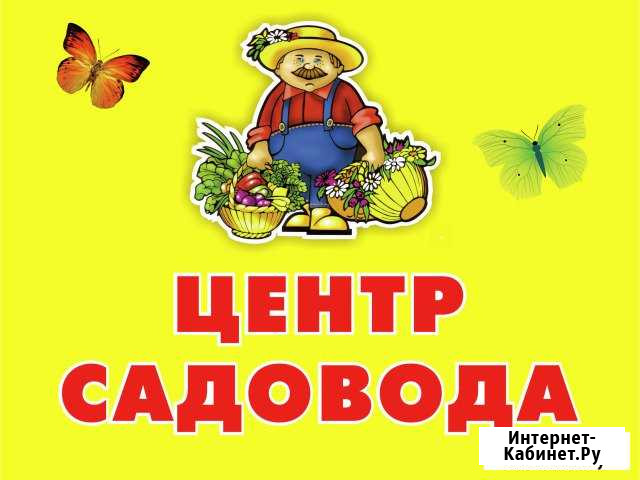 Продавец-консультант Соль-Илецк - изображение 1