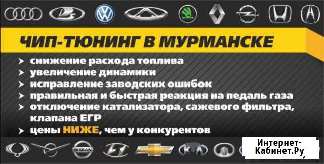 Чип-тюнинг в Мурманске Мурманск - изображение 1