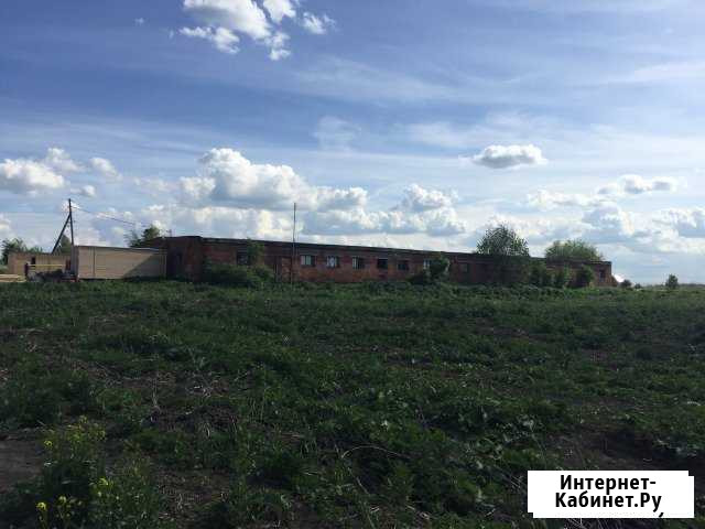 Здание телятника 1034 кв.м. на участке 2,9 Га Первомайский - изображение 1