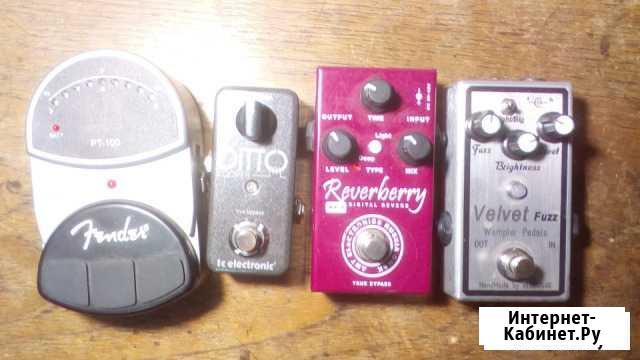 Fender PT-100 Курск - изображение 1