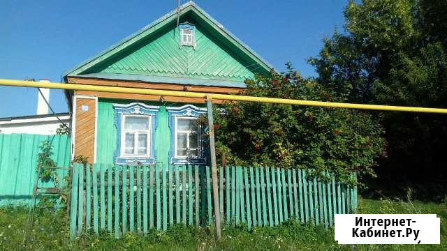 Дом 48 кв.м. на участке 50 сот. Аксубаево - изображение 1