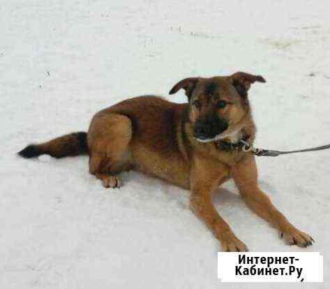 Стерилизованная девочка 1 год Иваново